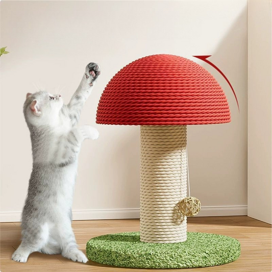 Mushroom Scratcher