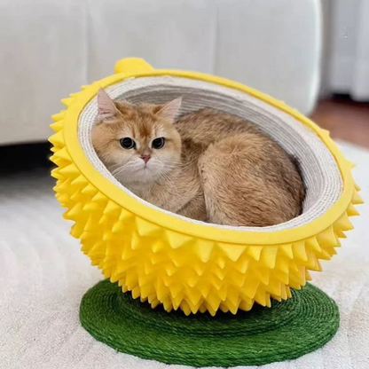 YellowFruit Scratcher Bed