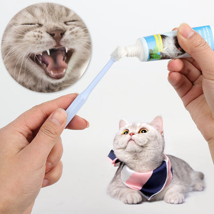 PurrBrush Dental