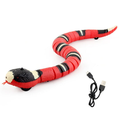 Slithering Snake Toy