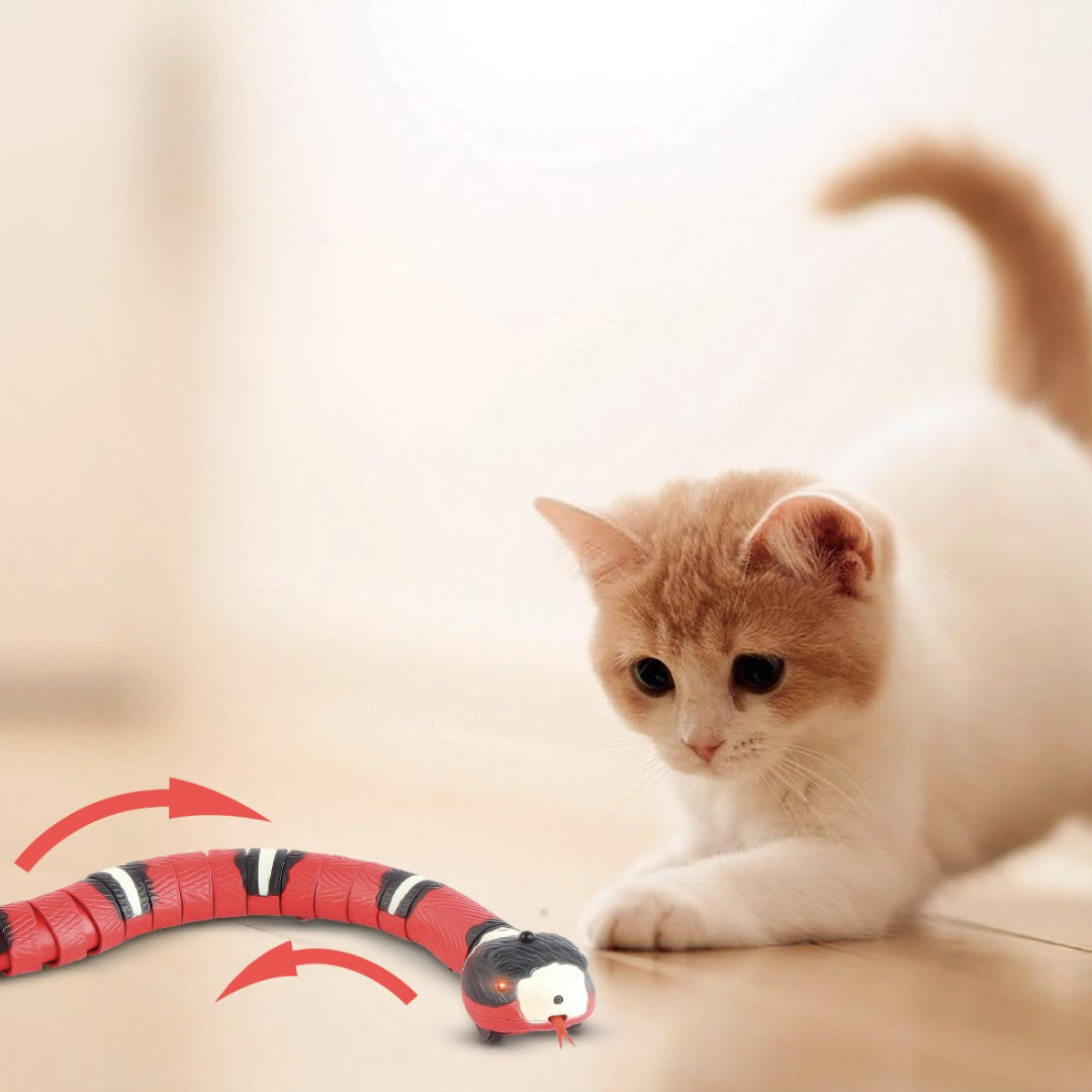 Slithering Snake Toy