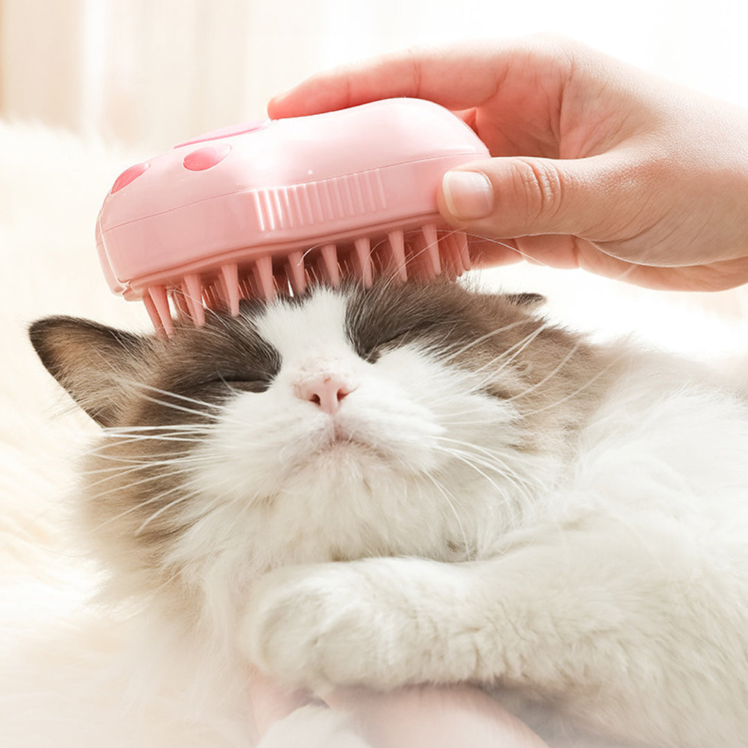 Steam brush - Happy Paw